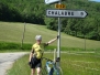 Beez in The Pyrenees