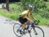 Beez in the Pyrenees