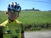 Beez in the Pyrenees