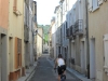 Beez in the Pyrenees