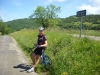 Beez in the Pyrenees