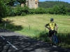 Beez in the Pyrenees