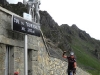 Beez in the Pyrenees
