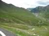 Beez in the Pyrenees