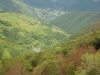 Beez in the Pyrenees