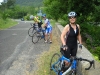 Beez in the Pyrenees