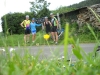 Beez in the Pyrenees
