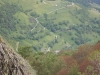 Beez in the Pyrenees