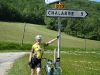 Beez in the Pyrenees