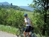 Beez in the Pyrenees