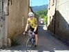 Beez in the Pyrenees