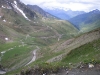 Beez in the Pyrenees