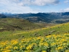 Methow Valley Scenery