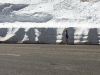 Joyce and the snow