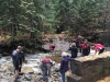 The impenetrable creek