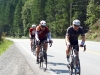 KootenayBeez10
