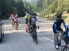 KootenayBeez21