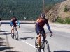 KootenayBeez4