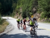 KootenayBeez9