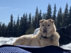 Keyla at picnic